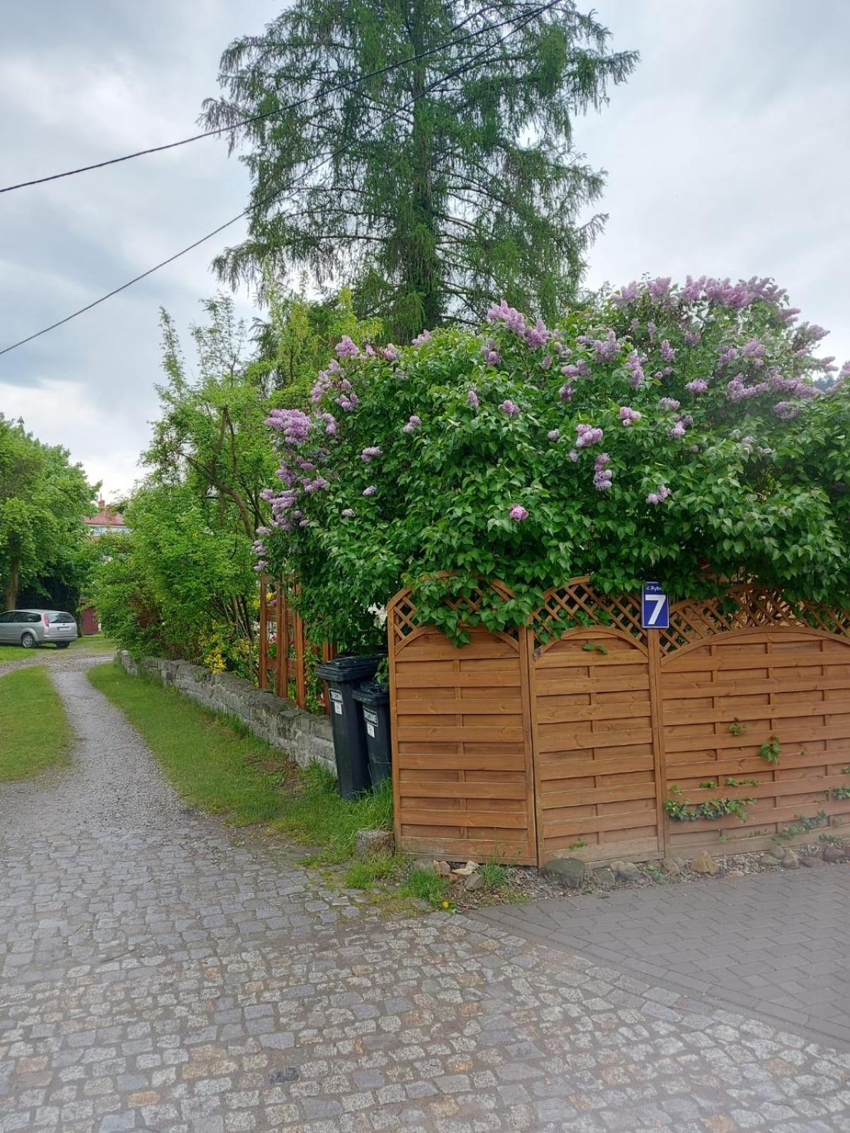 Apartament Na Rybnej Polanica-Zdrój Eksteriør billede